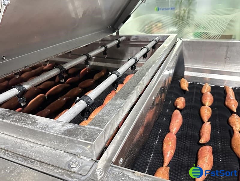 images/1704785314283fstsort Línea de procesamiento de batata.jpg